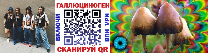 Галлюциногенные грибы мицелий  Рыбное 